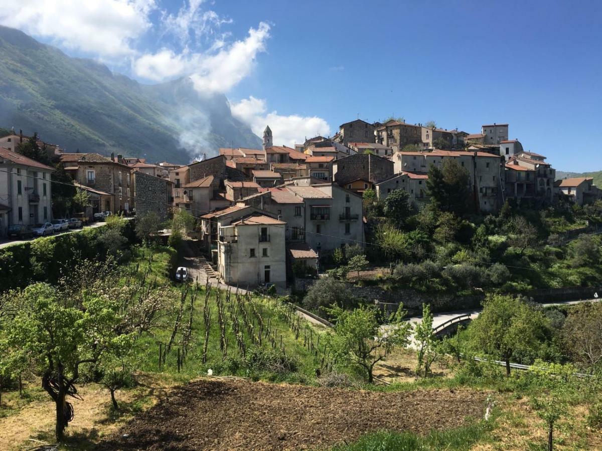 Petina Casa Sarloアパートホテル エクステリア 写真