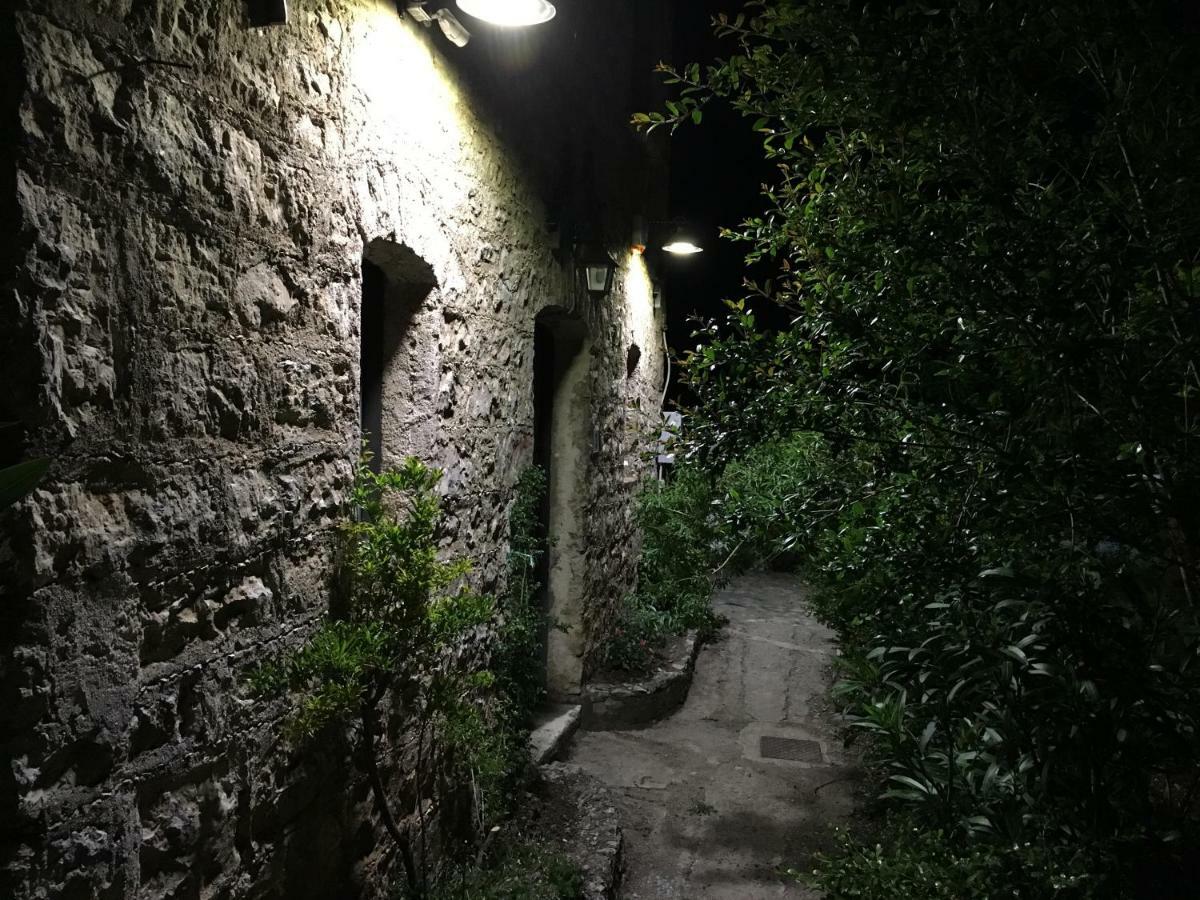 Petina Casa Sarloアパートホテル エクステリア 写真